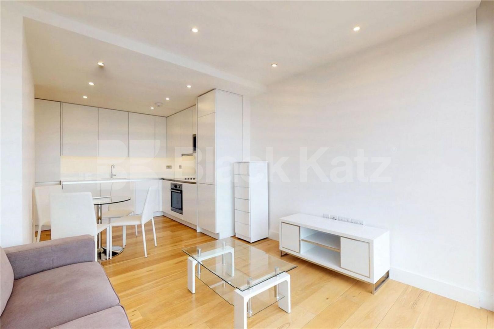Stunning stylish 1 bed property with large roof terrace Plumbers Row, Aldgate / Whitechapel 